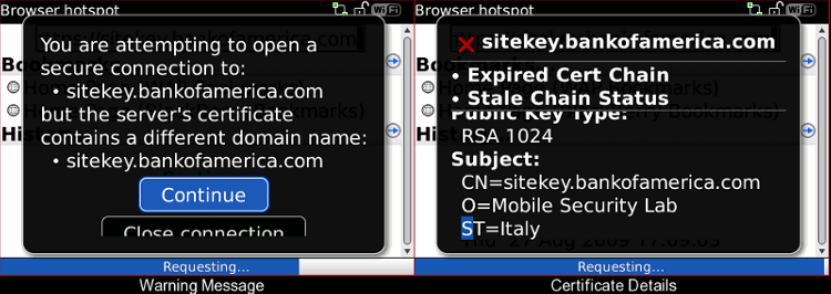 Figure 2 - BlackBerry Bold Warning Message and Details
