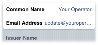 Email Address Detail